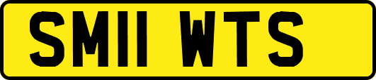 SM11WTS