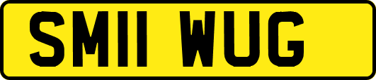 SM11WUG