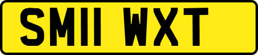 SM11WXT