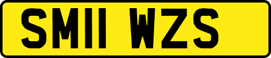 SM11WZS