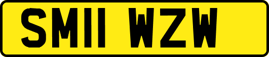 SM11WZW