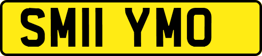 SM11YMO