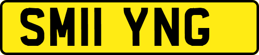 SM11YNG
