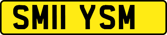 SM11YSM