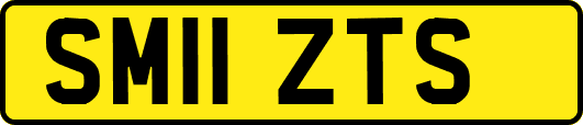 SM11ZTS