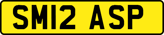 SM12ASP
