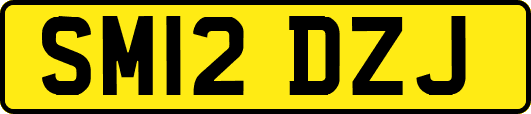 SM12DZJ