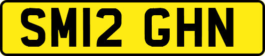 SM12GHN