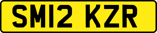 SM12KZR