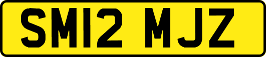 SM12MJZ