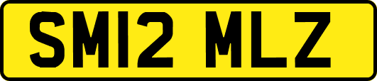 SM12MLZ