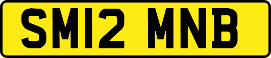 SM12MNB