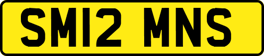 SM12MNS