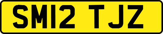 SM12TJZ