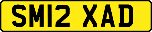 SM12XAD