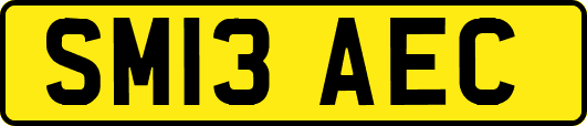 SM13AEC