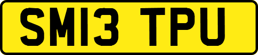 SM13TPU