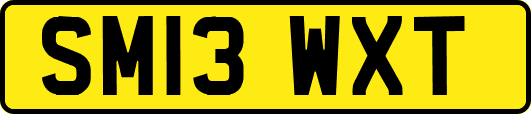SM13WXT