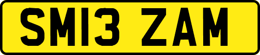 SM13ZAM