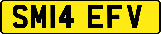 SM14EFV