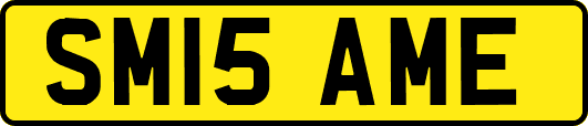 SM15AME