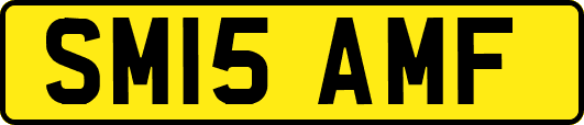 SM15AMF