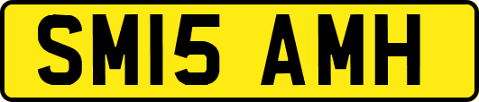 SM15AMH