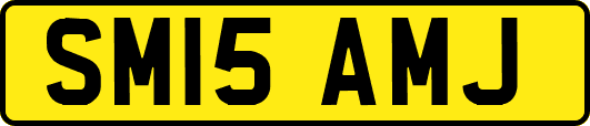 SM15AMJ