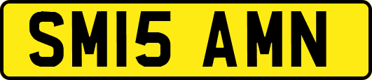SM15AMN