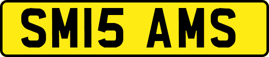 SM15AMS