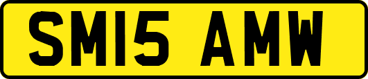 SM15AMW