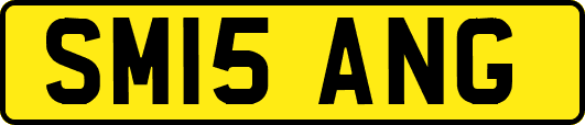 SM15ANG