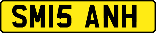 SM15ANH