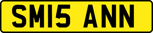 SM15ANN