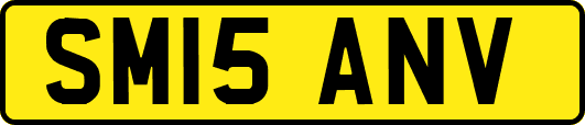SM15ANV