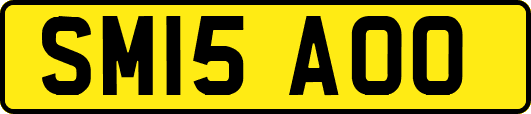 SM15AOO