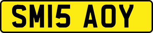 SM15AOY