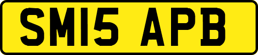 SM15APB