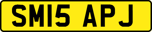 SM15APJ