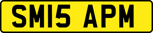 SM15APM