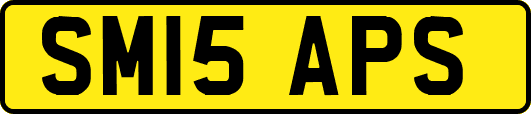 SM15APS