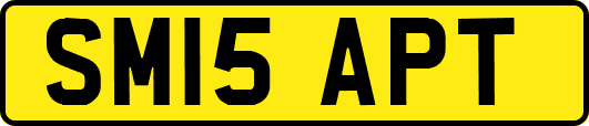 SM15APT