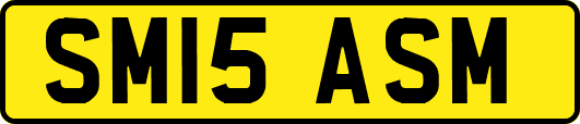 SM15ASM