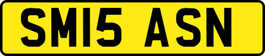 SM15ASN