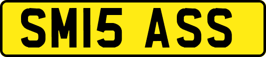 SM15ASS