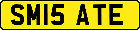 SM15ATE