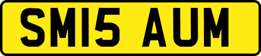 SM15AUM