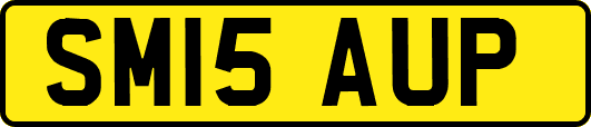 SM15AUP