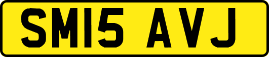 SM15AVJ