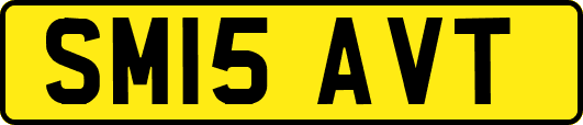 SM15AVT